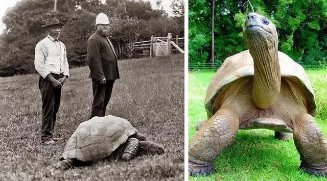 30張「過去 vs 現在的對比圖」！以前的浴室會讓你超羨慕　最後一張才知道「時間有多可怕」