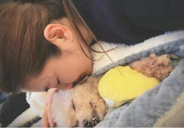 自爆想立遺囑！39歲任家萱欲「將遺產留給愛犬」自認很不孝　最後決定留給「最親愛的她」