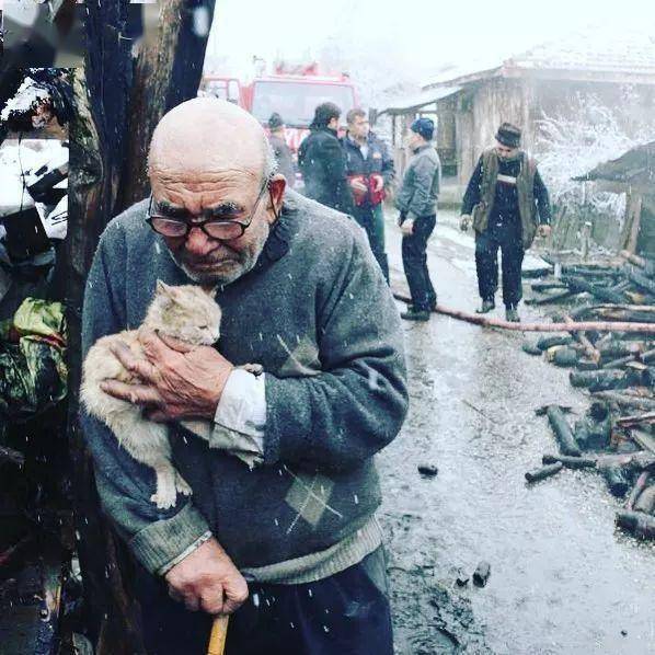 大火燒了家！83歲老人抱著倖存的愛貓「風雪中啜泣」惹哭全網　總統發話「困難交給我們」超暖心