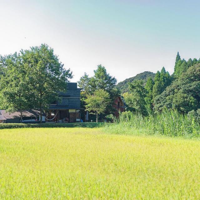 找回快樂童年！一家五口「棄都市搬回鄉下」孩子無時無刻在笑　大自然「成最棒遊樂場」日子令人羨慕