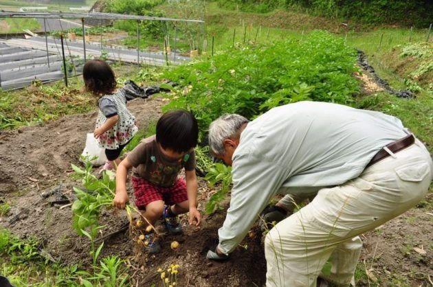 找回快樂童年！一家五口「棄都市搬回鄉下」孩子無時無刻在笑　大自然「成最棒遊樂場」日子令人羨慕