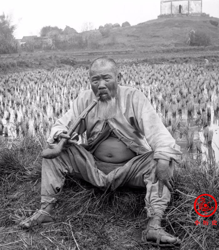 晚清老照片！身高2.4米巨人與妻子合影　張愛玲祖母有氣質 ：比現在女明星漂亮