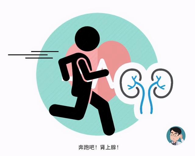 跑步有益身心健康！但這4個細節沒做到位「反而更損傷身體 」 　尤其是「膝蓋損傷」