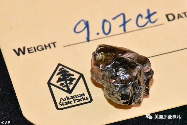 入園費才290台幣！男子去公園無意「撿了顆9克拉大鑽石」價值不菲　工作人員卻直言：不單是運氣好