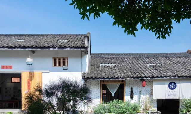 11位陌生人合租「302坪老院」過得像退休養老　院內應有盡有「下班後喝茶聊天」生活好愜意