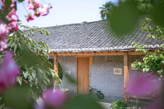 11位陌生人合租「302坪老院」過得像退休養老　院內應有盡有「下班後喝茶聊天」生活好愜意