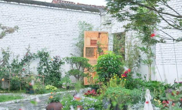 11位陌生人合租「302坪老院」過得像退休養老　院內應有盡有「下班後喝茶聊天」生活好愜意