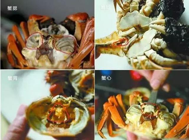 中秋連假「吃海鮮」有禁忌！海鮮嘌呤過高  患有「痛風 關節炎 三高」人群不宜多吃海鮮