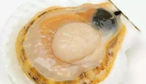 中秋連假「吃海鮮」有禁忌！海鮮嘌呤過高  患有「痛風 關節炎 三高」人群不宜多吃海鮮