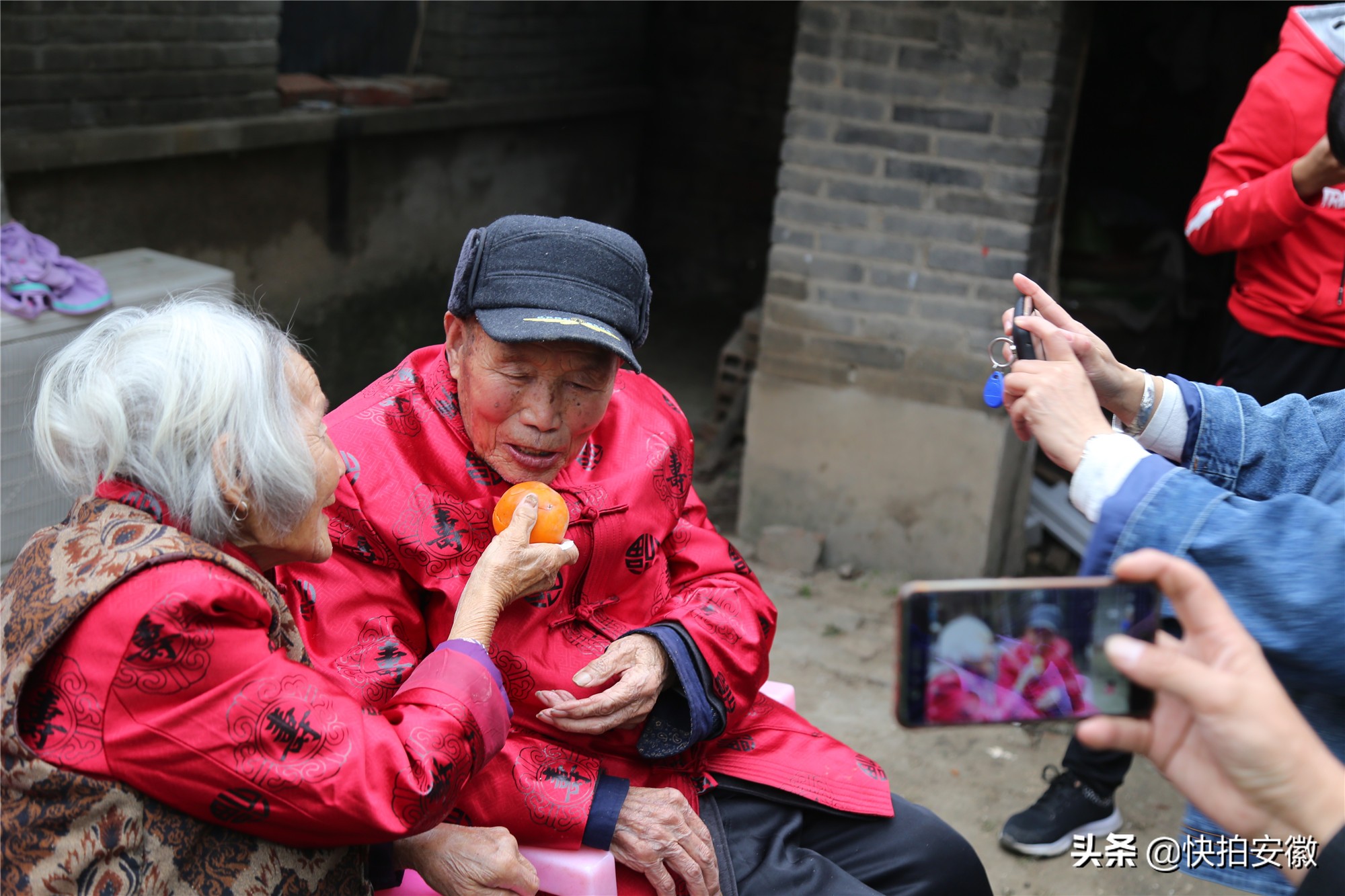 最亮麗的風景線！百歲老夫妻院裡「種柿子樹當風景」成熟後無人採摘　浪費太可惜「盼野鳥來吃」