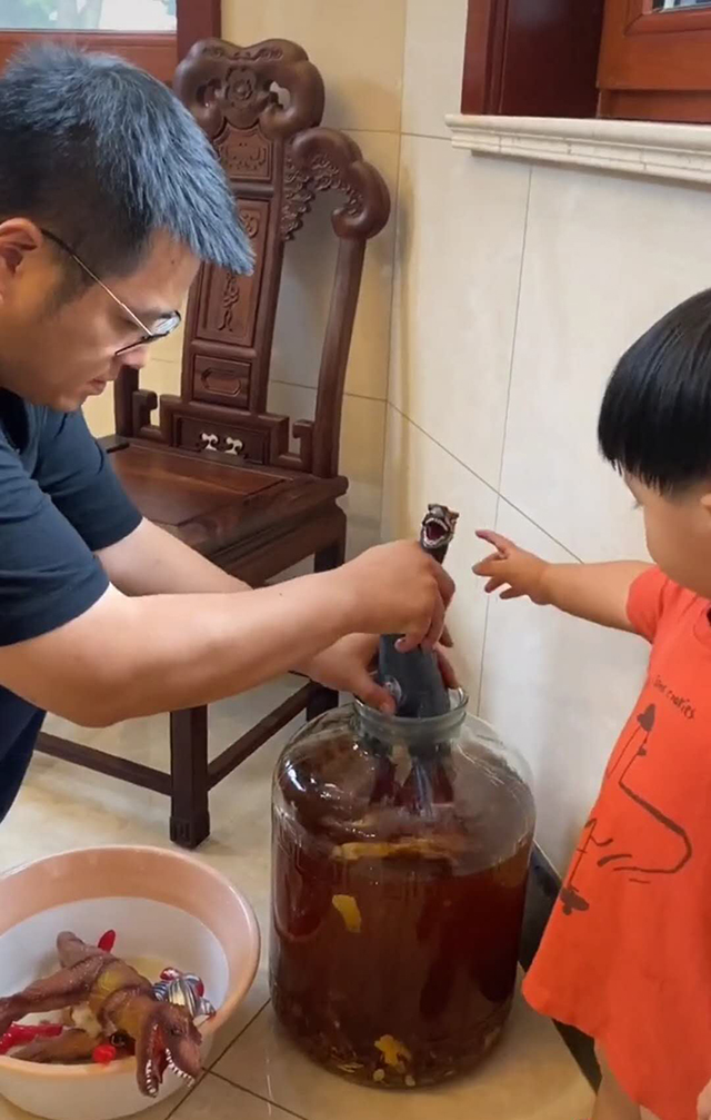 10年藥酒作廢！「家有喜事」爺爺拿出珍藏藥酒　定睛一看發現「內有乾坤」網友笑噴：喝了能變身嗎？