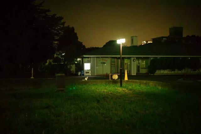 快門捕捉！他花3年拍39張照片「紀錄重症父最後人生」　生命倒數「爸爸身形變化」讓他好不捨