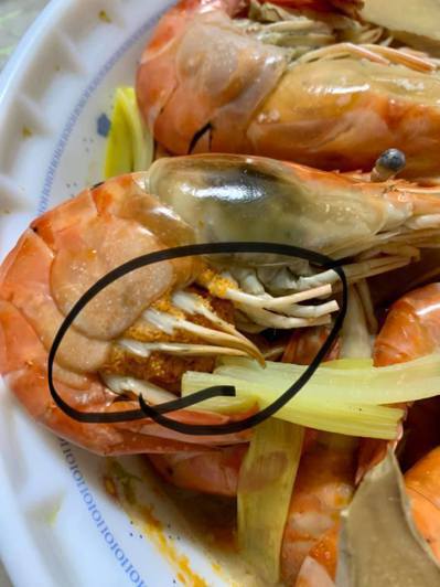 吃蝦補身體！他煮完驚見「腳上抱一堆蝦卵」以為賺到了　網友倒吸一口氣「最好別吃」：會後悔