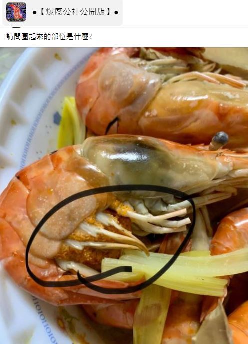 吃蝦補身體！他煮完驚見「腳上抱一堆蝦卵」以為賺到了　網友倒吸一口氣「最好別吃」：會後悔