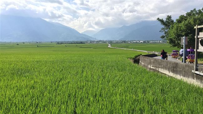 想搬東部養老！「30年從沒去過」她求助網友：適合嗎？在地人「精闢揭露現況」：建議先不要