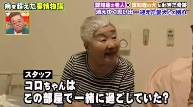 愛的奇迹！日本「81歲奶奶和柴犬」相繼患老年痴 呆　被迫分開「2年後再重逢」畫面逼哭所有人