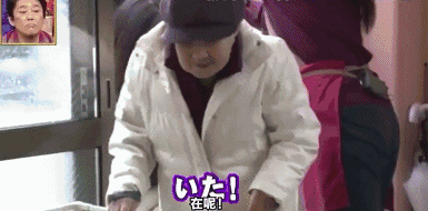 愛的奇迹！日本「81歲奶奶和柴犬」相繼患老年痴 呆　被迫分開「2年後再重逢」畫面逼哭所有人
