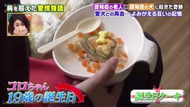 愛的奇迹！日本「81歲奶奶和柴犬」相繼患老年痴 呆　被迫分開「2年後再重逢」畫面逼哭所有人