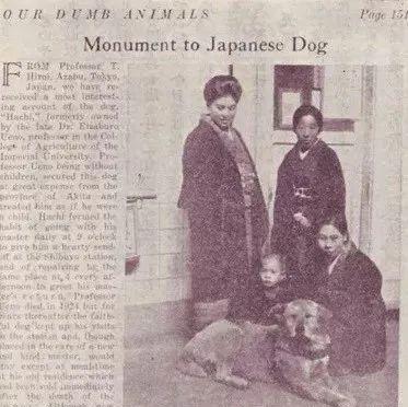 愛的奇迹！日本「81歲奶奶和柴犬」相繼患老年痴 呆　被迫分開「2年後再重逢」畫面逼哭所有人