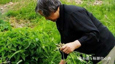 「不要別人做我爸」！寡母再嫁5歲兒負氣出走　20年後憑記憶回鄉「扔下百萬離開」不願相認