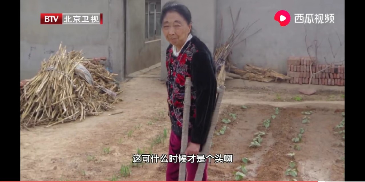 「舅媽嫁給我」！24歲小鮮肉娶56歲阿嬤被酸「娶了一個媽」　婚後恩愛23年把老妻寵成公主