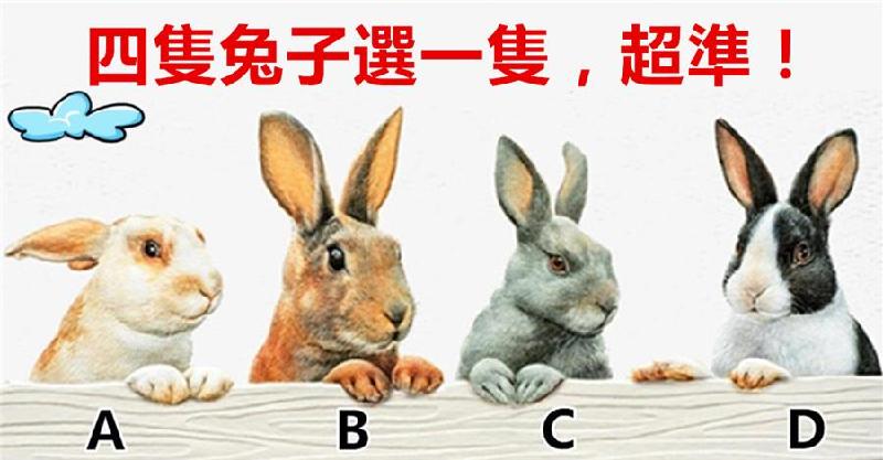 四隻兔子選一隻！測出「你給別人的印象」是什麼？