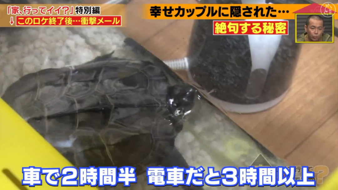 比電視劇更狗血！13歲患恐慌症「多次想尋短見」　與男友相戀「被治癒」3年後卻甩了對方：理由很離譜