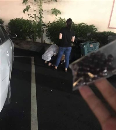 躲垃圾桶旁叫賣！逛台南夜市「見女童辛苦舉牌」號召搶購　在地人變臉「拜託不要買」曝光爸媽身分