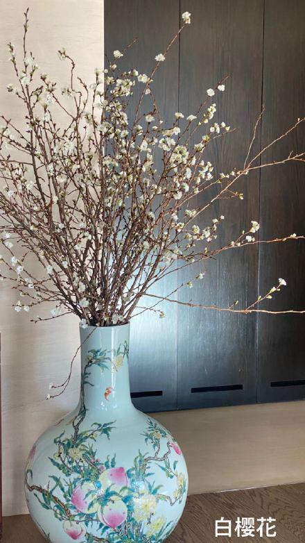 如女皇般生活！劉嘉玲「用2千萬清朝花瓶」插花　早餐喝「15萬紅酒配鮑魚」曾霸氣稱：我不止8億