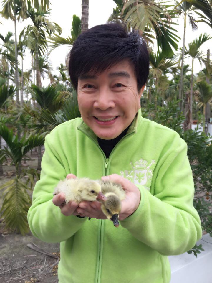 謝雷獨居百坪豪宅！把兩戶打通「客廳就能打羽球」裝潢超溫馨　曝「最愛一整面牆」笑稱：千萬也買不到