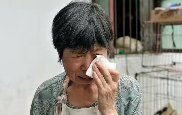 生雙胞胎女兒！強勢婆婆嫌棄「滾回娘家坐月子」　第二天爸媽「開豪車來接」婆婆含淚求原諒