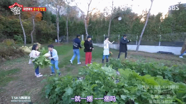 活出不一樣的豪門！李英愛「帶龍鳳胎搬到鄉下」感受大自然　「孩子暢遊田野間」學會惜福生活愜意