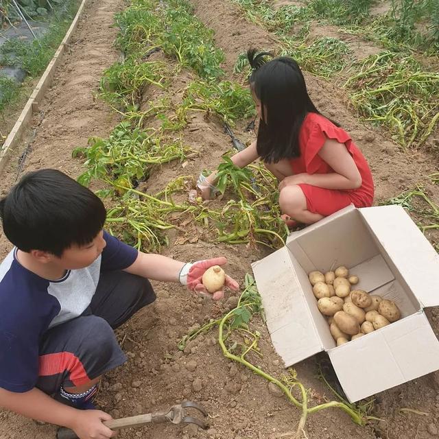 活出不一樣的豪門！李英愛「帶龍鳳胎搬到鄉下」感受大自然　「孩子暢遊田野間」學會惜福生活愜意