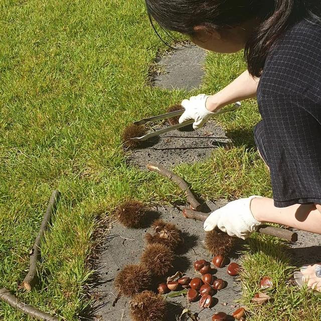 活出不一樣的豪門！李英愛「帶龍鳳胎搬到鄉下」感受大自然　「孩子暢遊田野間」學會惜福生活愜意