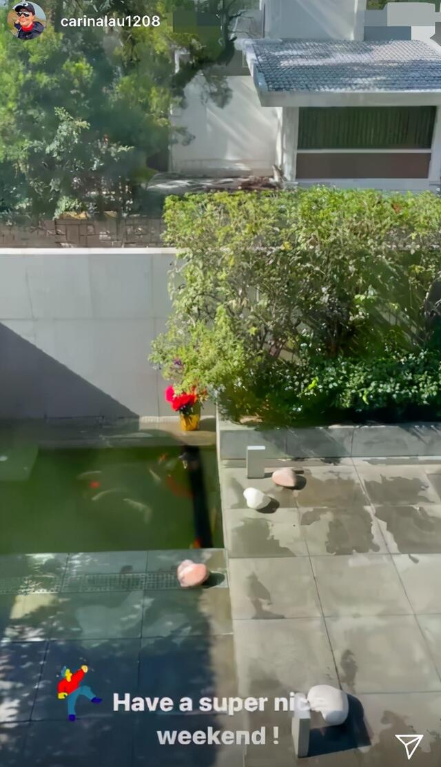 劉嘉玲罕見曝光「香港3億豪宅」！庭院綠蔭環繞大似園林　角落池塘「養錦鯉擺心形石頭」浪漫又獨特