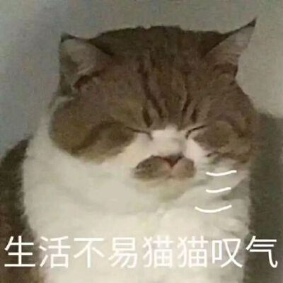 拋髮妻娶新歡！64歲再棄新歡「戀上小30歲女助理」　忘年戀恩愛8年「今70歲名導不婚」依舊瀟灑