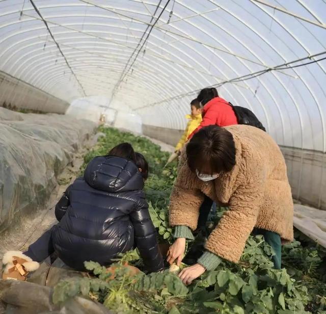 罕曬全家福！孫儷兒子暴風抽高「只矮媽媽一顆頭」　帶兒女下鄉採草莓「素顏超親民」