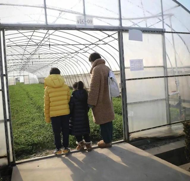 罕曬全家福！孫儷兒子暴風抽高「只矮媽媽一顆頭」　帶兒女下鄉採草莓「素顏超親民」