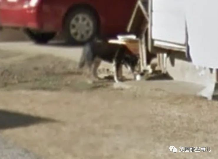 本想用谷歌「街景地圖」看看老家！卻無意再見想念7年的人　引網友共鳴「集體曬照」分享好催淚