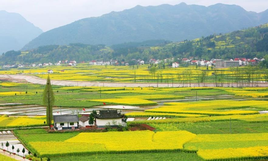 早已註定！一生中「命最好」的五個生肖　做事「順風順水」好運連連