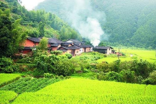 早已註定！一生中「命最好」的五個生肖　做事「順風順水」好運連連
