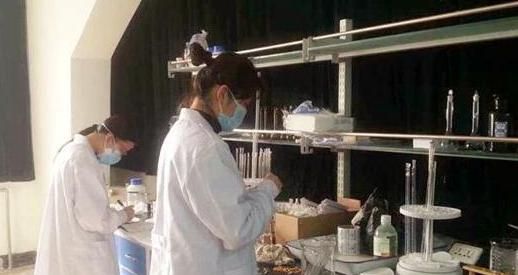 自稱是孫悟空的後代！女孩帶「祖傳靈石和猴毛」去名校驗DNA　教授的回答「讓她面紅耳赤」