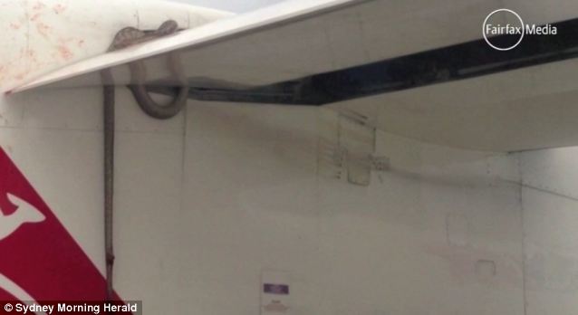 飛在1萬英尺高空！女乘客拿手機拍攝窗外風景　意外錄下「驚險一幕」放大一看全身雞皮疙瘩！ 