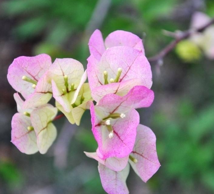 關乎晚年幸福！「60歲的夫妻」還有沒有必要睡一起？3個前輩「說出心裡話」句句戳心