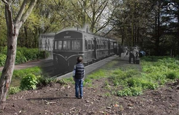 時空穿梭？「幽靈火車」載104人神秘消失　58年後再度出現「科學家上車調查」揭秘真相