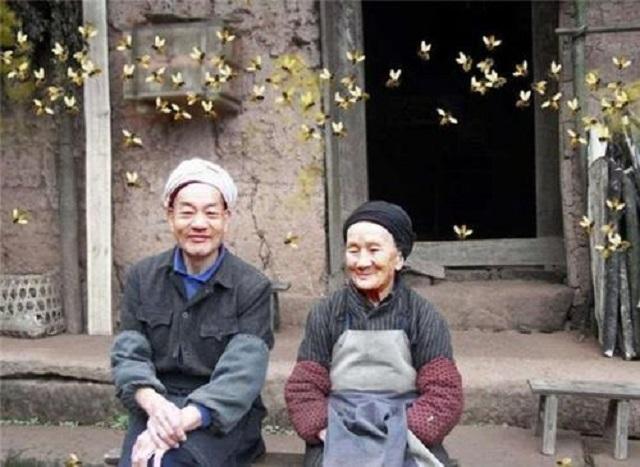 完美愛情？21歲少年「帶31歲寡婦」私奔到深山　花50年為愛妻築「天梯」被發現後卻飽受質疑