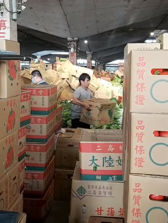 每天報廢1000箱！盤商買走後「下秒就倒進田裡」　菜農委屈坦言「價格不錯也沒用」：苦只能往肚裡吞