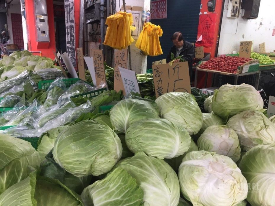 每天報廢1000箱！盤商買走後「下秒就倒進田裡」　菜農委屈坦言「價格不錯也沒用」：苦只能往肚裡吞