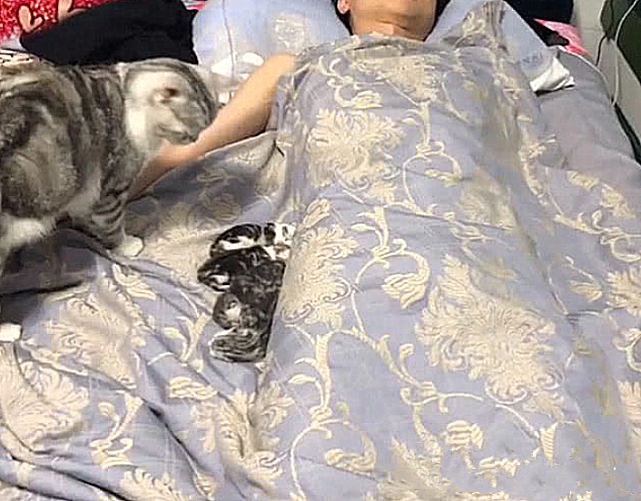差點出大事！男子睡到一半「正要翻身」卻感覺哪裡不對　 瞟了一眼被子「不敢動了」 