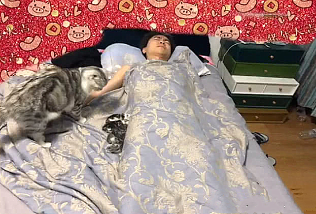 差點出大事！男子睡到一半「正要翻身」卻感覺哪裡不對　 瞟了一眼被子「不敢動了」 